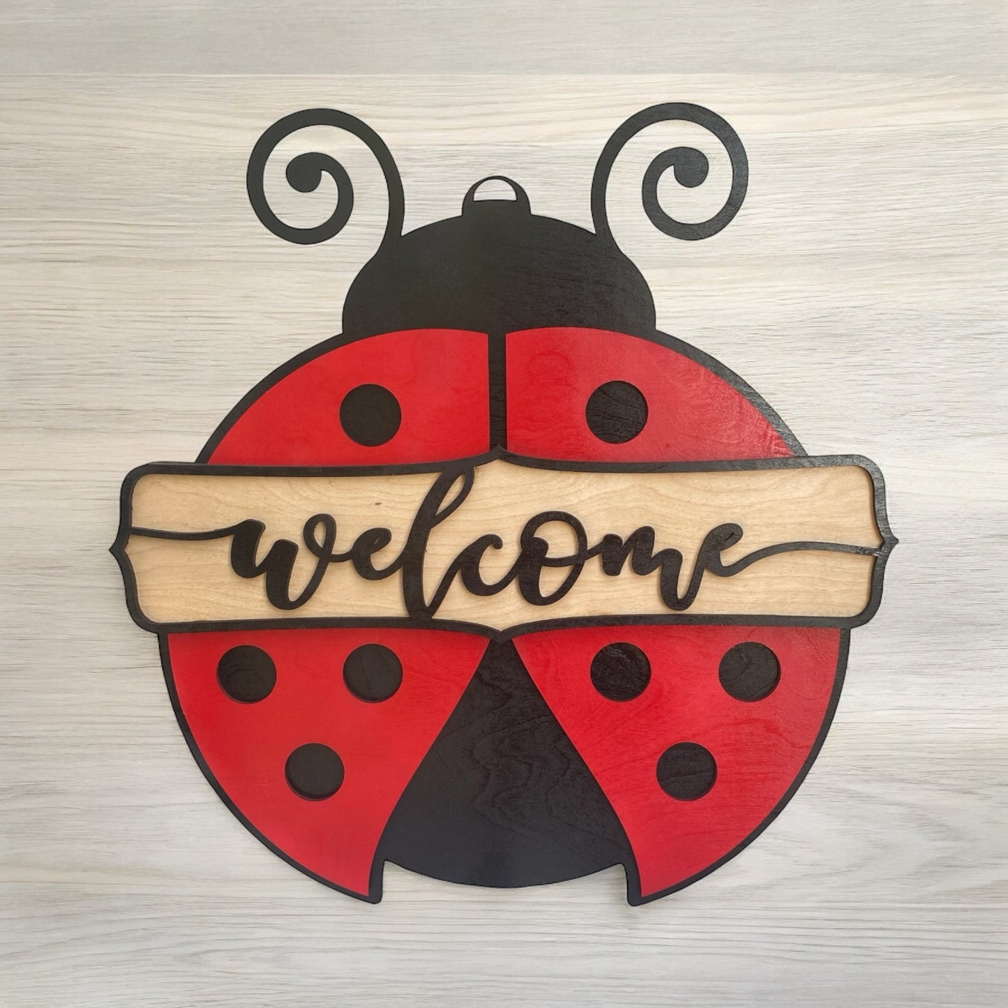 Ladybug Door Hanger
